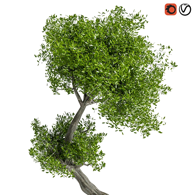 Sculpted Tree Duo, 2016 Design 3D model image 4