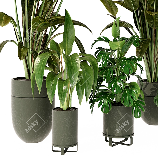 Modern Indoor Plant 280 Decor 3D model image 2