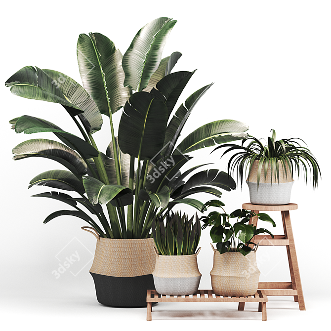 Indoor Foliage Set | Realistic Texture 3D model image 1