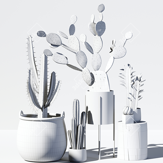 Modern Cactus Indoor Set 17 3D model image 3