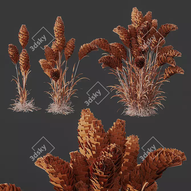 Foxtail Barley HQ Ornamental Plant 3D model image 5