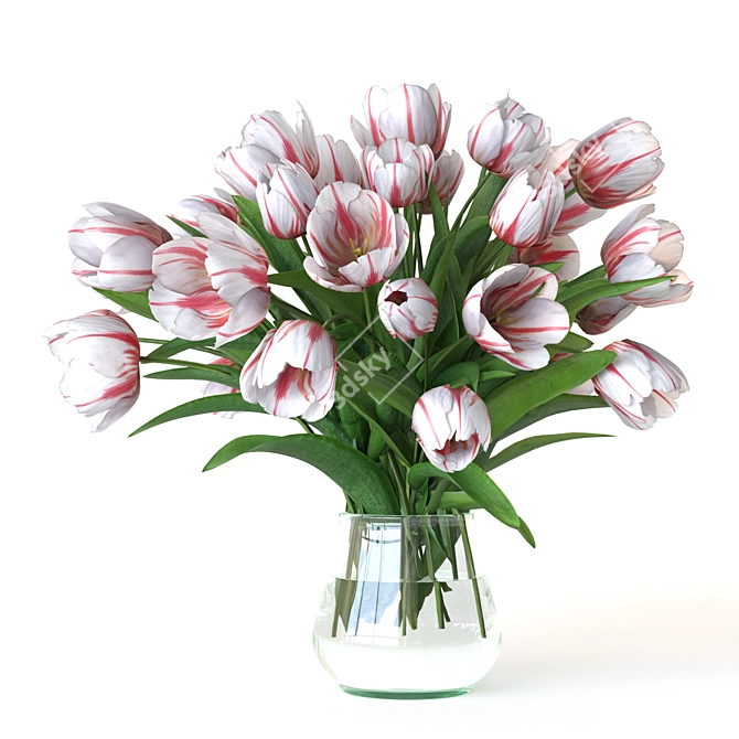 Spring Bouquet Collection 3D Model 3D model image 5