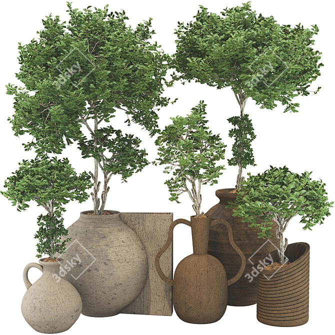 Wooden Pot Decorative Tree Collection 3D model image 1