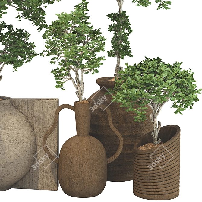 Wooden Pot Decorative Tree Collection 3D model image 4