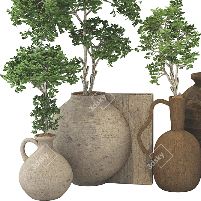 Wooden Pot Decorative Tree Collection 3D model image 5