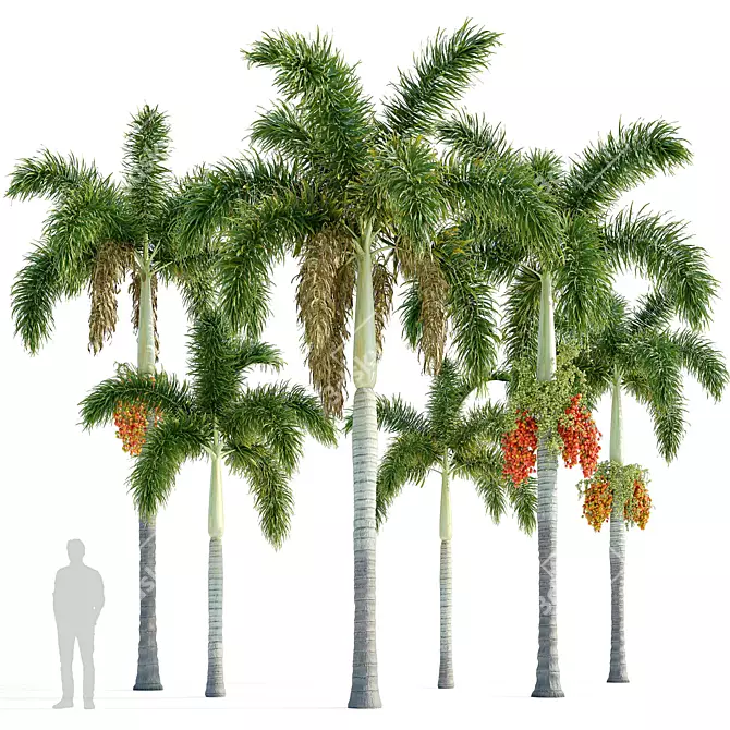 Foxtail Palm Tree Sculptures 3D model image 1