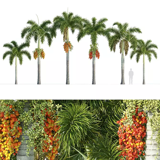 Foxtail Palm Tree Sculptures 3D model image 2