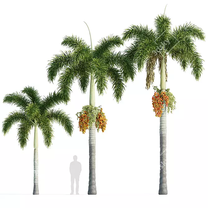 Foxtail Palm Tree Sculptures 3D model image 4