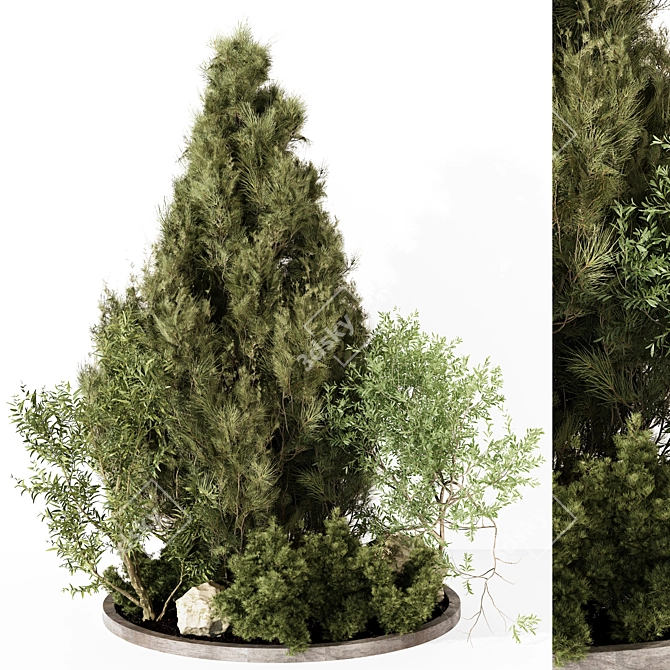 Outdoor Plant 230 - 2015 Edition 3D model image 1