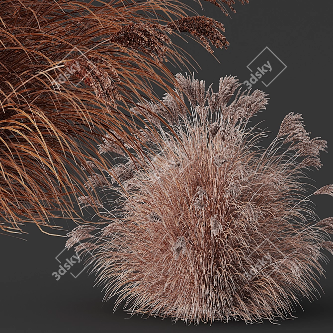 Silky Elephant Grass 3D Model 3D model image 4