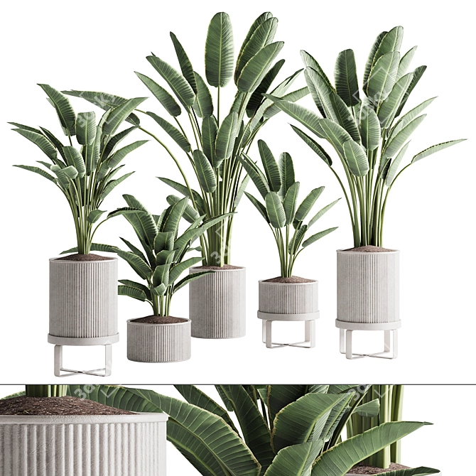 Modern Plant Collection Set 05 3D model image 1