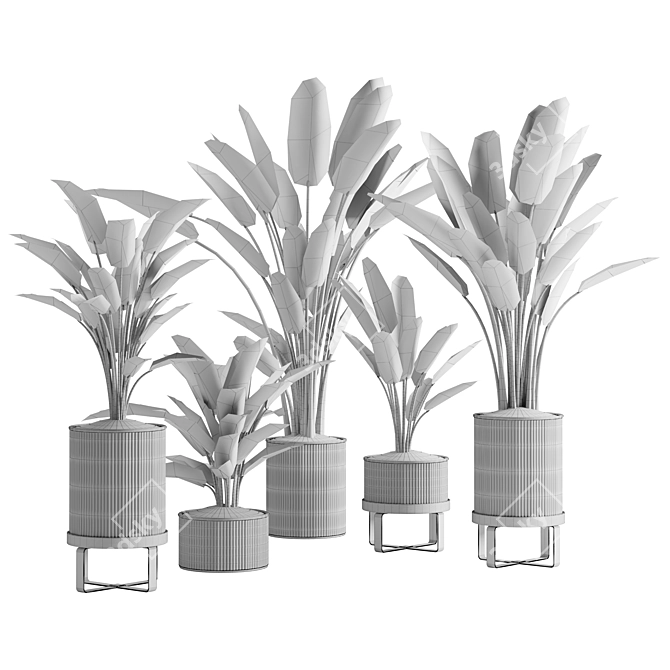 Modern Plant Collection Set 05 3D model image 3