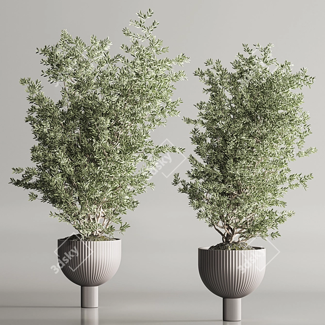 Modern Indoor Plant Set 109 3D model image 2