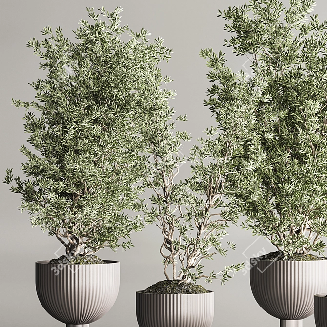 Modern Indoor Plant Set 109 3D model image 4