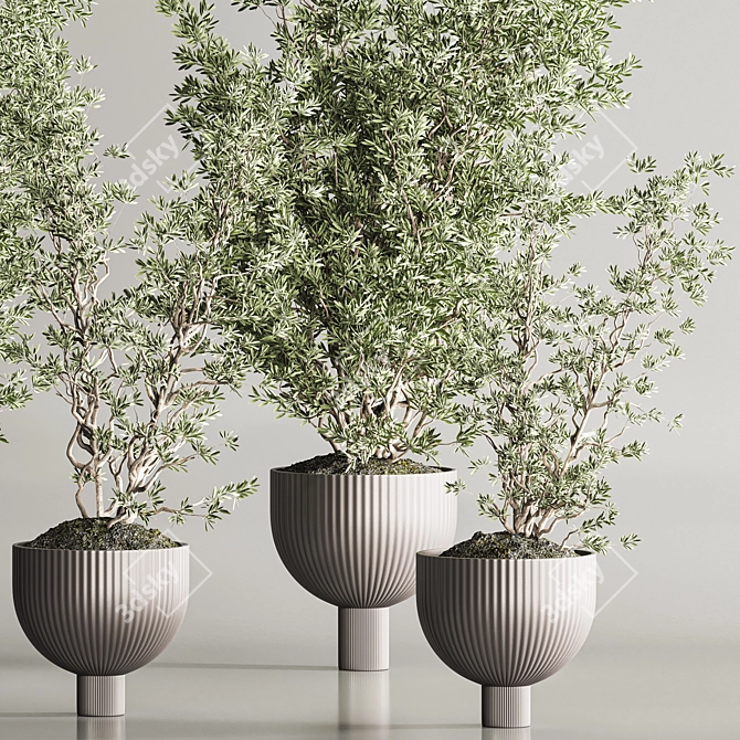 Modern Indoor Plant Set 109 3D model image 5