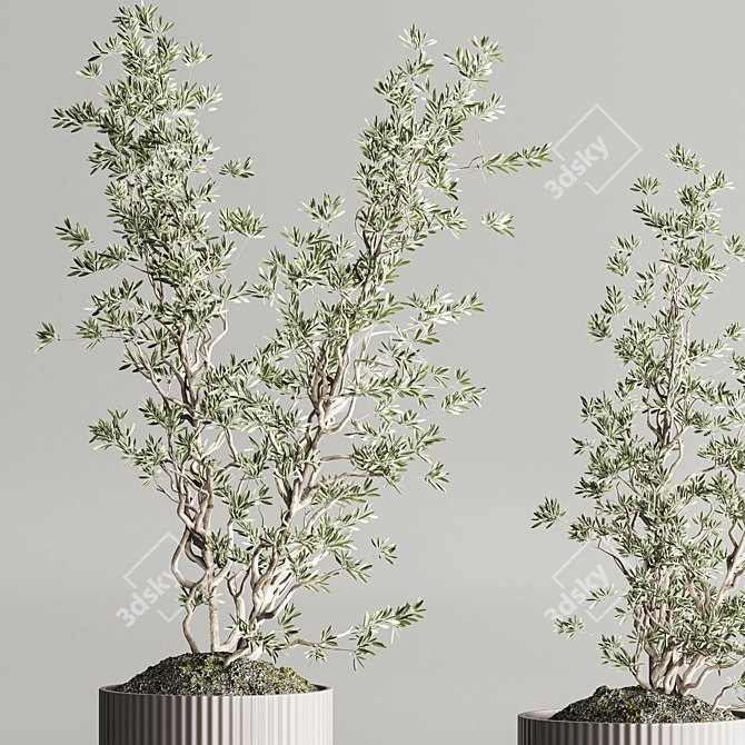 Modern Indoor Plant Set 109 3D model image 6