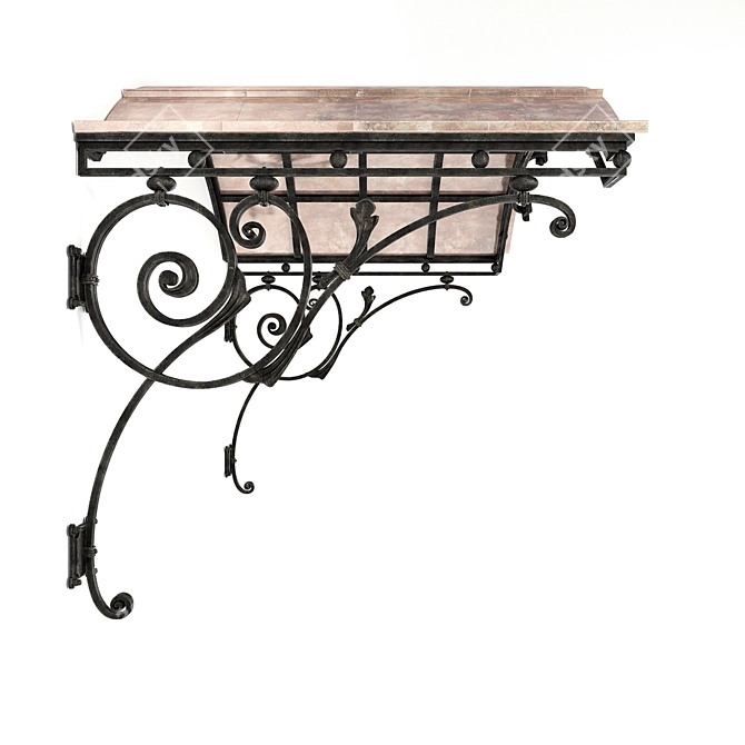 Classic Style Wrought Iron Canopy 3D model image 2