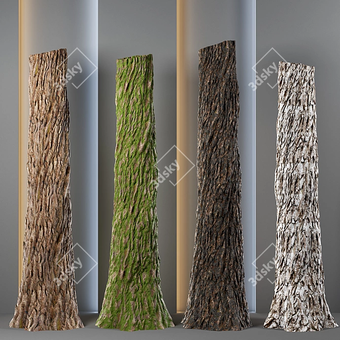 4k Tree Bark & Trunk Textures 3D model image 1