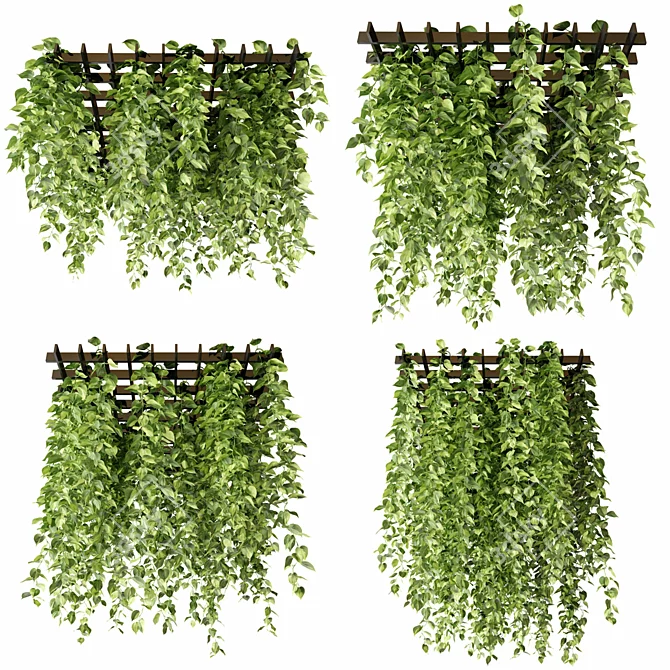 Epipremnum Hanging Plant Grid 3D model image 3