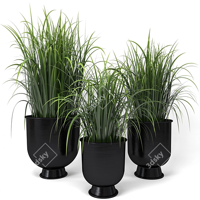 Modern Black Planter Set 3D model image 1