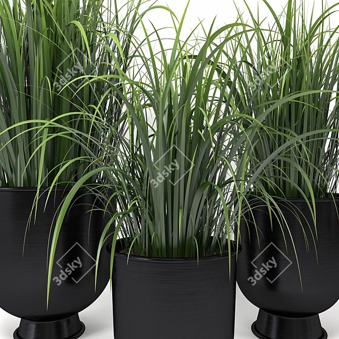 Modern Black Planter Set 3D model image 4