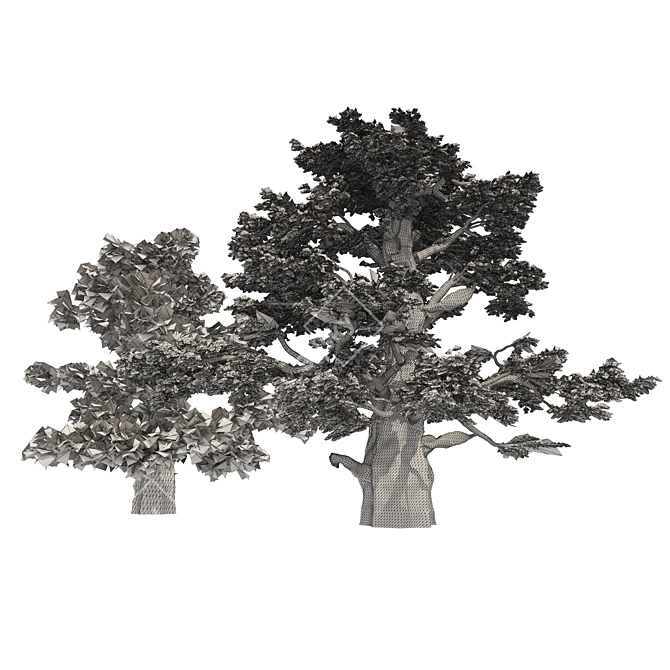 Juniper Berry Trees 3D Model 3D model image 5