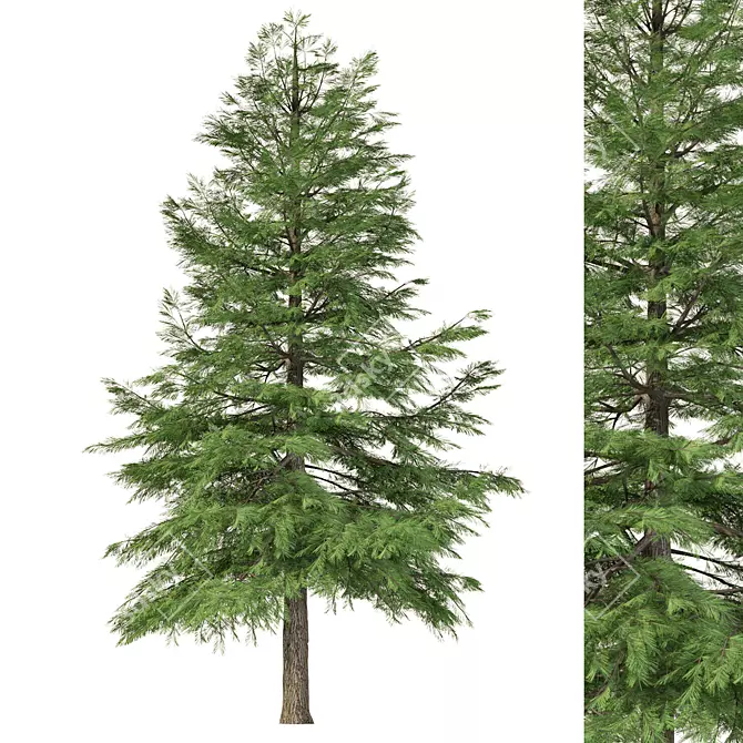 Geometry Pine Tree Sculpture 3D model image 1