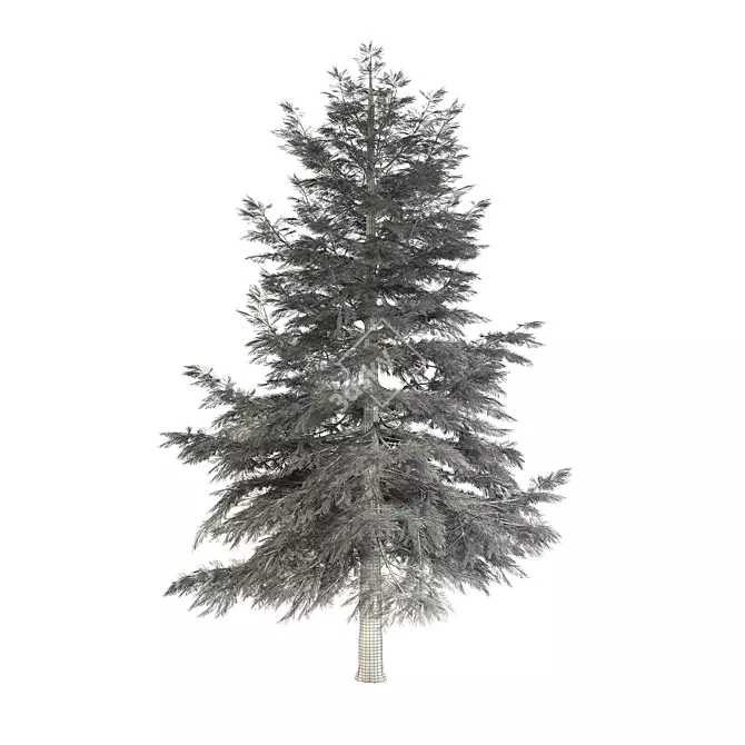 Geometry Pine Tree Sculpture 3D model image 5