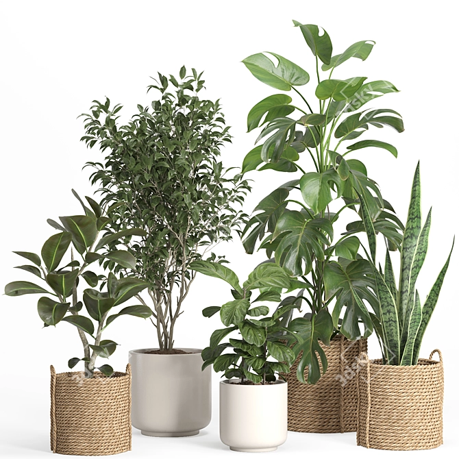 Rattan & Ceramic Indoor Plant Set 3D model image 1