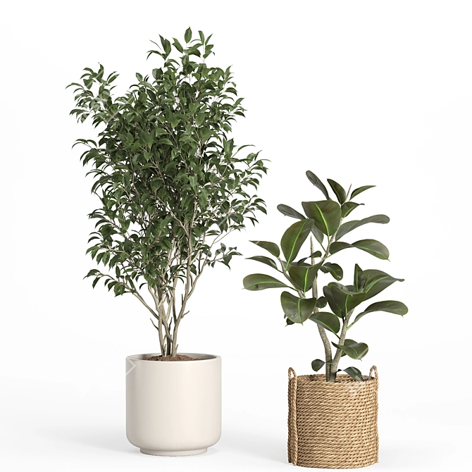 Rattan & Ceramic Indoor Plant Set 3D model image 3