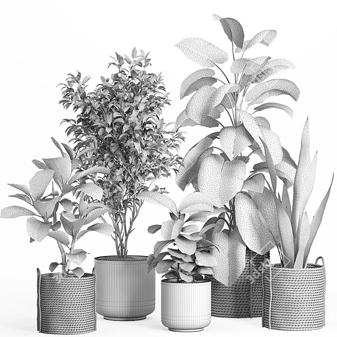 Rattan & Ceramic Indoor Plant Set 3D model image 4