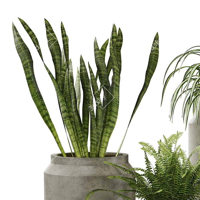 Modern Ceramic Green Plant Trio 3D model image 3