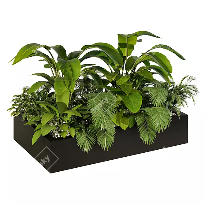 Tropical Jungle Indoor Plant Set 3D model image 4