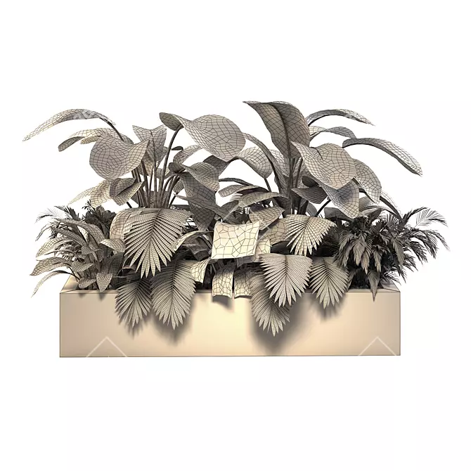 Tropical Jungle Indoor Plant Set 3D model image 5