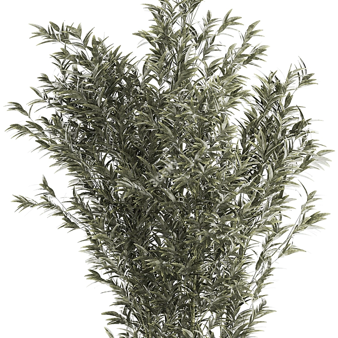 Elegant Bamboo Bush in White Floral Pot. Collection 1272 3D model image 2