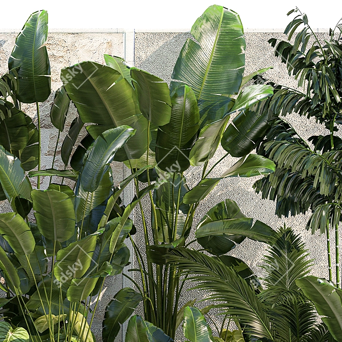 Tropical Plant Paradise Set 3D model image 4