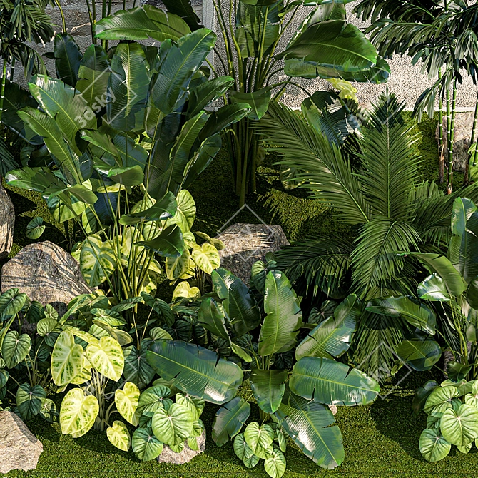 Tropical Plant Paradise Set 3D model image 5