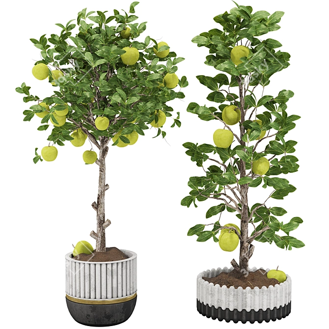 Indoor Apple Tree Collection 3D 3D model image 1