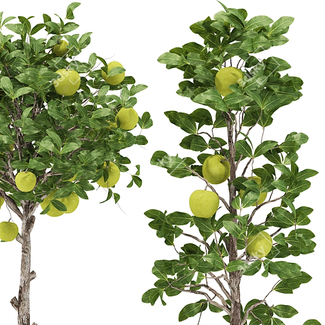 Indoor Apple Tree Collection 3D 3D model image 3