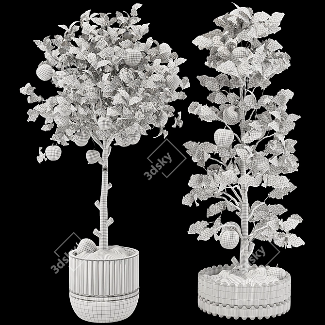 Indoor Apple Tree Collection 3D 3D model image 7