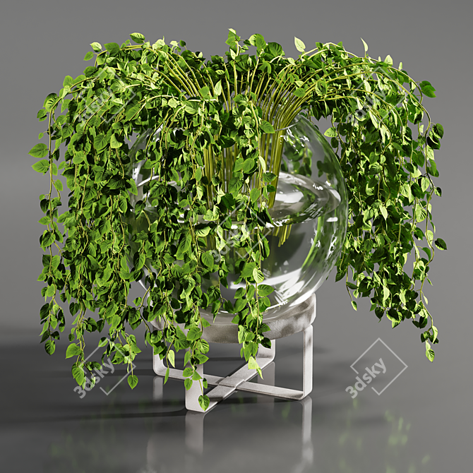 Botanical Marvel Indoor Plant 08 3D model image 3