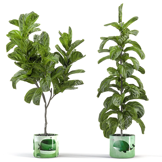 Kids' Room Fiddle Leaf Fig 3D model image 1