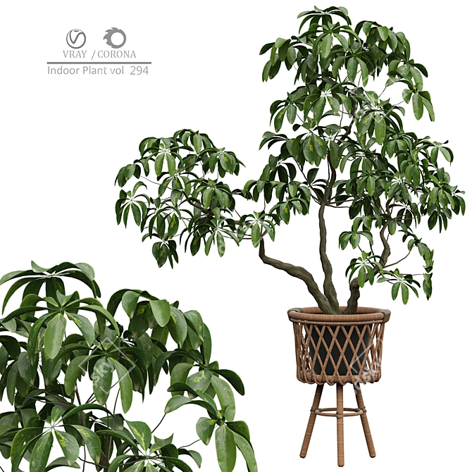 Modern Indoor Plant 3D Model 3D model image 1