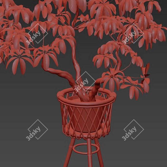 Modern Indoor Plant 3D Model 3D model image 4