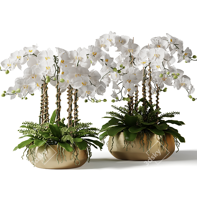 Brass Pot Orchid Duo 3D model image 1