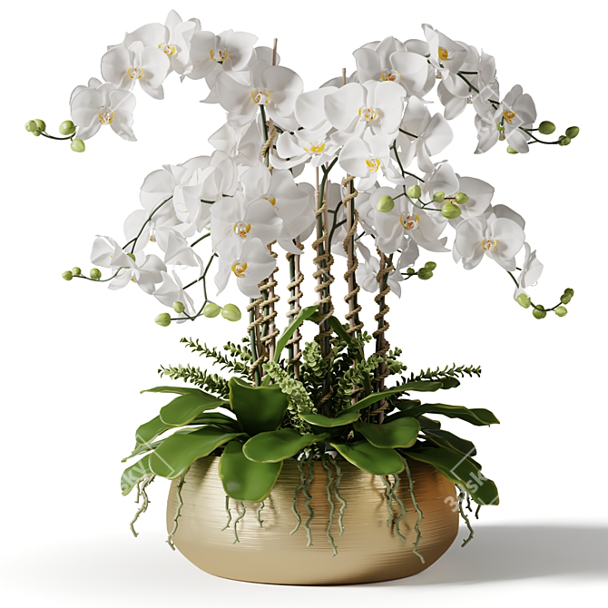 Brass Pot Orchid Duo 3D model image 2