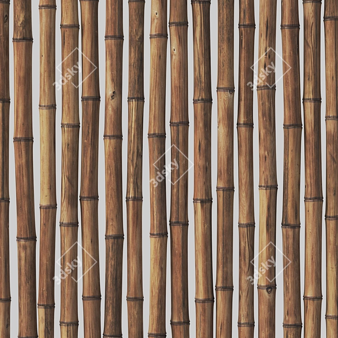 Bamboo Polygon Model with Vray 3D model image 2