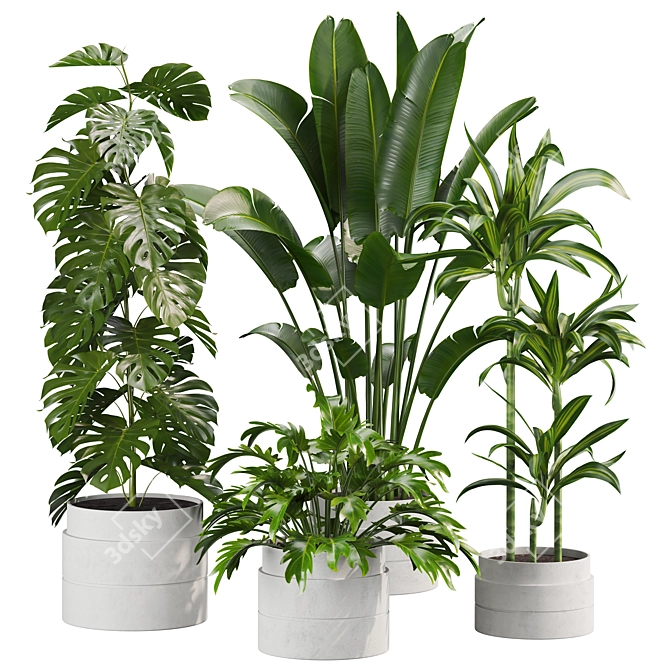 Variety of 30 Plant Models 3D model image 1