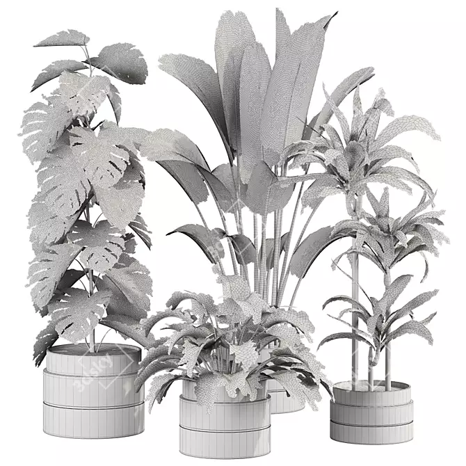 Variety of 30 Plant Models 3D model image 2