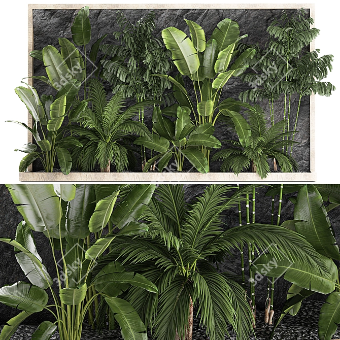 Exotic Tropical Plant Set 3D model image 1